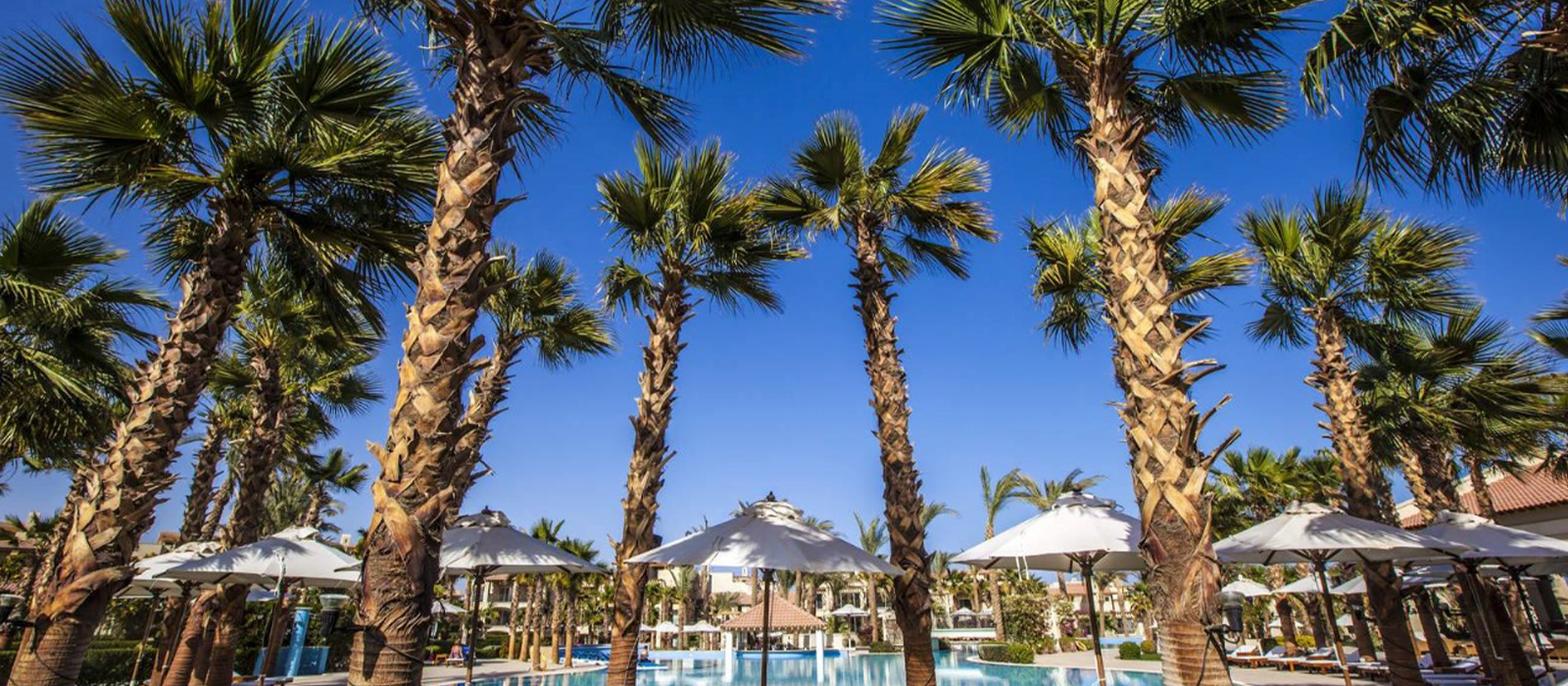 veranda sahl hasheesh im1