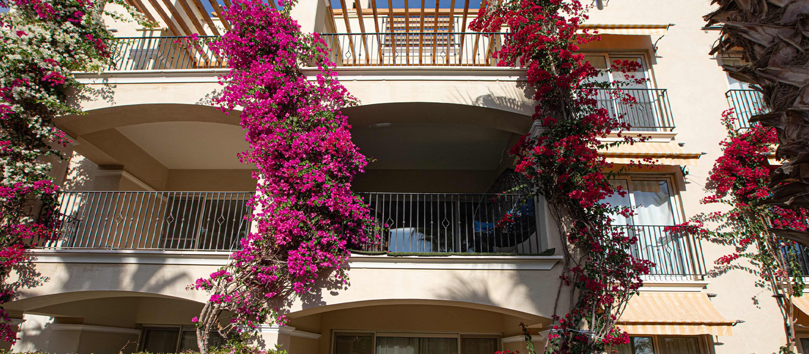 veranda sahl hasheesh im7