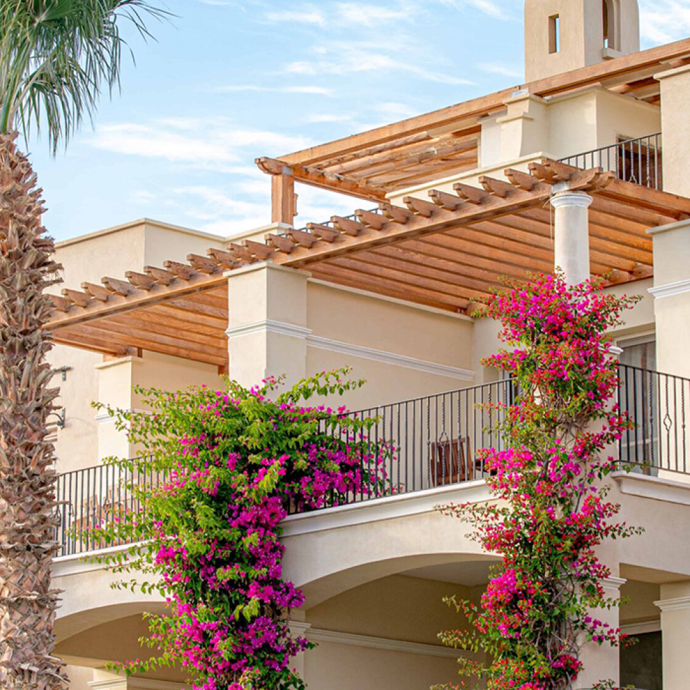 veranda sahl hasheesh im3